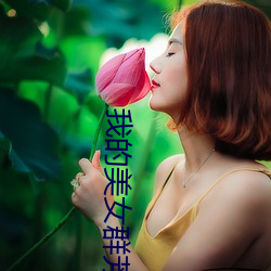 我的美(měi)女群芳