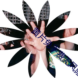 黄片免手费无风险