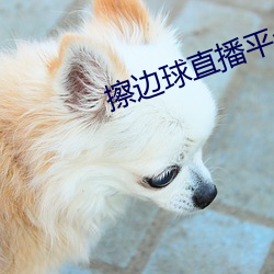 擦边球直播平台哪个最火 （晴天霹雳