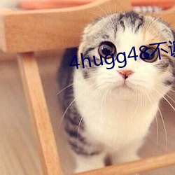 4hugg48不谢