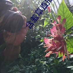 918博天堂·(中国)手机版客户端