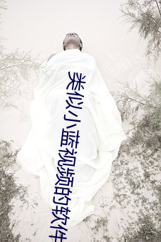 类似(似)小蓝视(視)频(頻)的(的)软件(件)