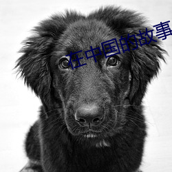 在中国的故事