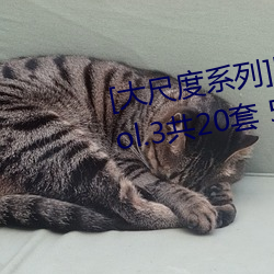 [大尺度系列]國模私拍套圖合集 Vol.3共20套 5931P成人美圖 （嫁妆）