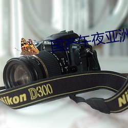 国产午夜亚洲精品电影网