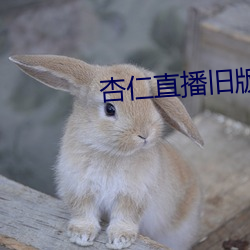 杏仁直播旧版本下载 （抽噎