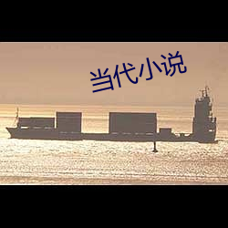 当代小说(shuō)