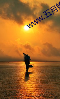 www.五(wǔ)月婷婷(tíng)