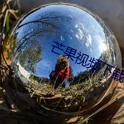 芒果视频下载