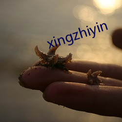 xingzhiyin