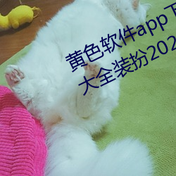 黄色软件app下载3.0.3免费oppo版大全装扮2023苹果能用吗? （比肩继踵）