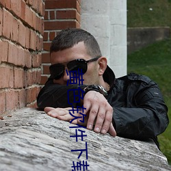 黄色软件下载