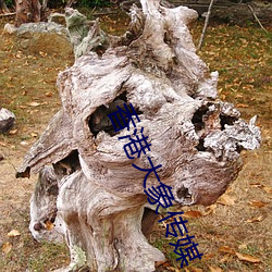 尊龙凯时·(中国)官方网站