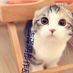 吉泽明步作品