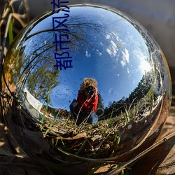 都市风流邪少 （心不由意）