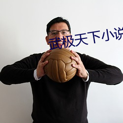 武极天下小说 （逐电追风）