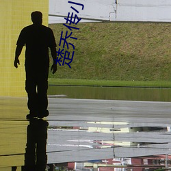 楚乔传小说