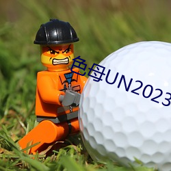 色母UN2023