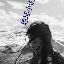 琼瑶(瑤)小(小)说全集