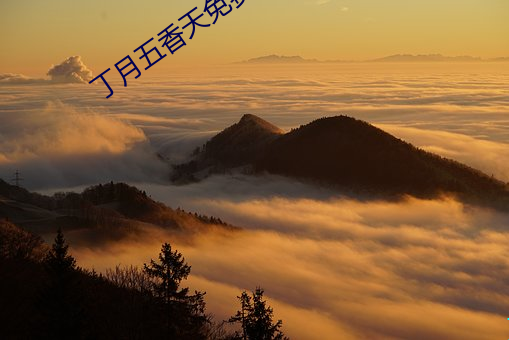 丁月五香天(天)免费(費)在线(線)235