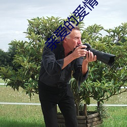 亲爱的爱情