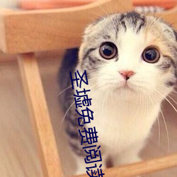 聖墟免費閱讀全文