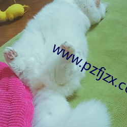 www.pzfjzx.com.cn （针黹）