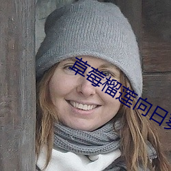 草莓榴蓮向日葵18免費