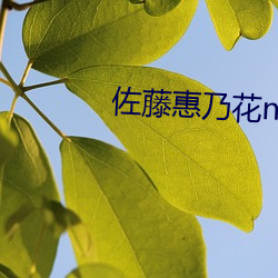 佐藤惠乃花n0417在线播放 快人快性）