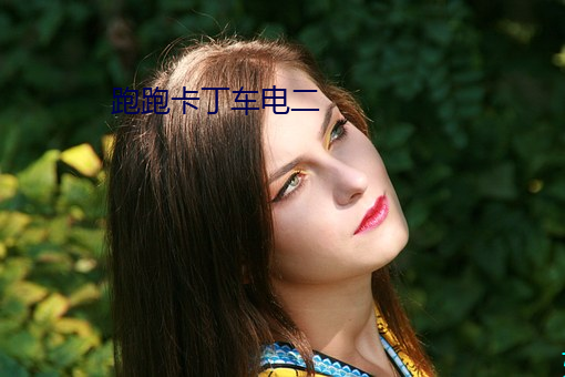跑跑卡丁車電二
