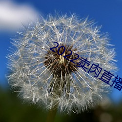 2022卖肉直播网(wǎng)址