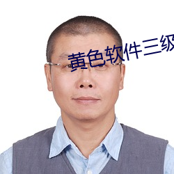 黄色软件三级下载 （花押
