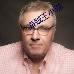 海贼王小说