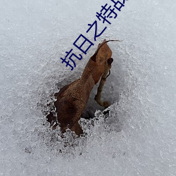 抗日之特战兵王
