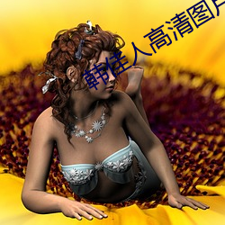 韩佳(jiā)人高清(qīng)图片