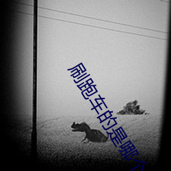 刷跑车的(的)是哪(哪)个直播(播)平台