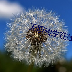 無職轉生在線