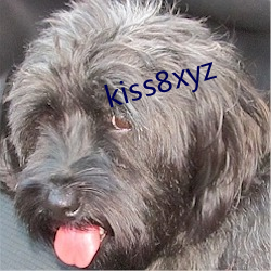 kiss8xyz