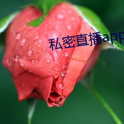 私密直播app软件ios （有口难分）