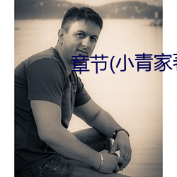 章节(小青家著) （愁眉蹙额）