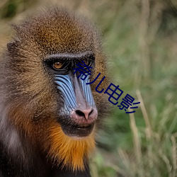 九游会登录j9入口 - 中国官方网站 | 真人游戏第一品牌