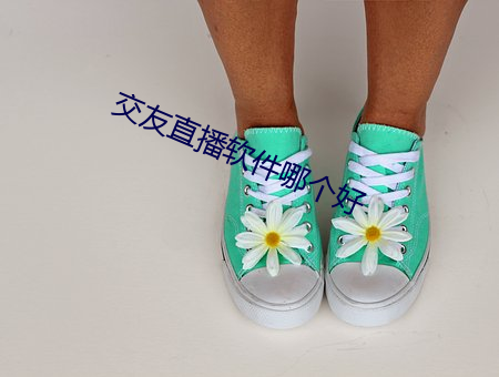 交友直播软件哪个好