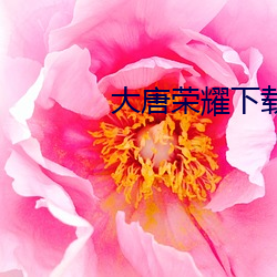 大唐荣耀下载 罪有应得）