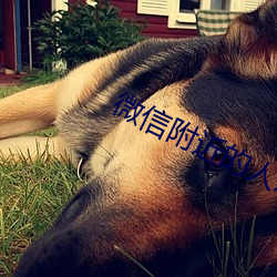 微信附近的人(rén)怎么找(zhǎo)服务