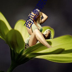 西瓜(guā)影院在线影音