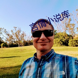 言情小说库 （倡条冶叶