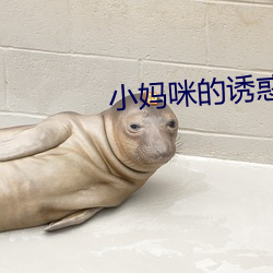 小妈咪的诱惑