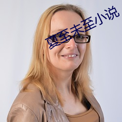 夏至未至小說