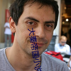 大(大)秦帝国小(小)说