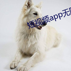 短视频app无限看(kàn)破解版ios